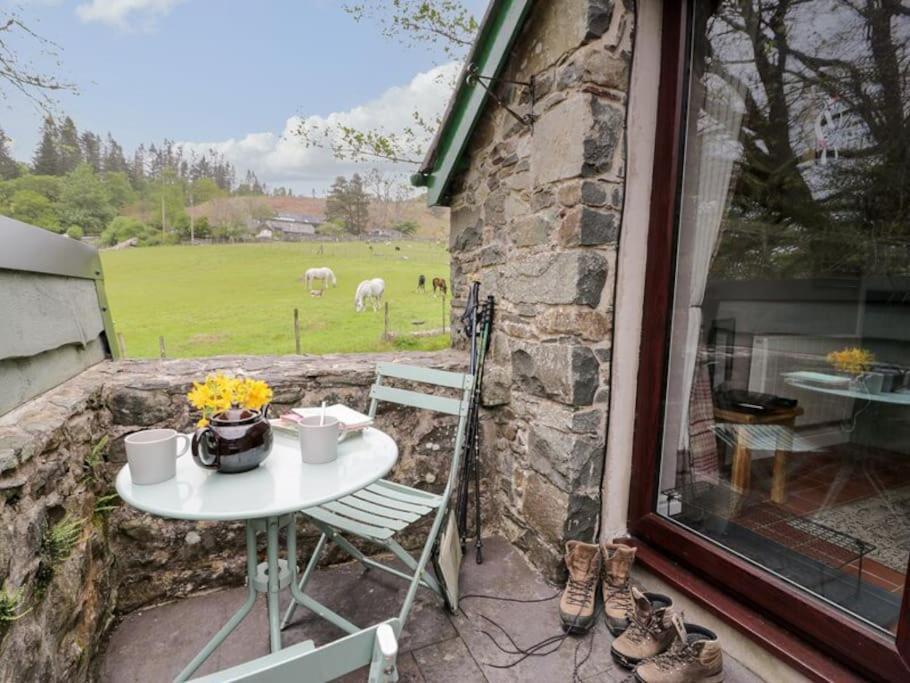 דולגלאו Y Gribyn - Modern Stone Cottage Within Snowdonia'S National Park מראה חיצוני תמונה