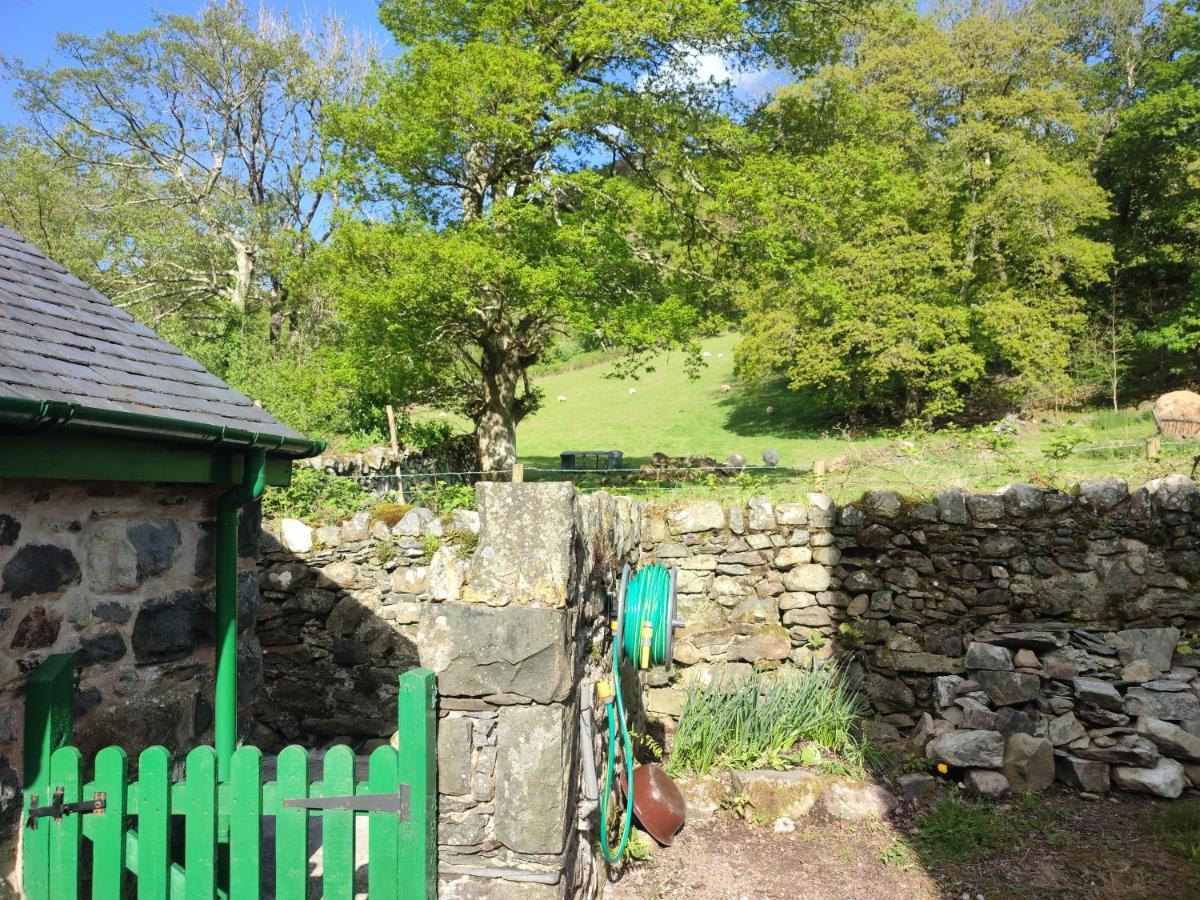 דולגלאו Y Gribyn - Modern Stone Cottage Within Snowdonia'S National Park מראה חיצוני תמונה