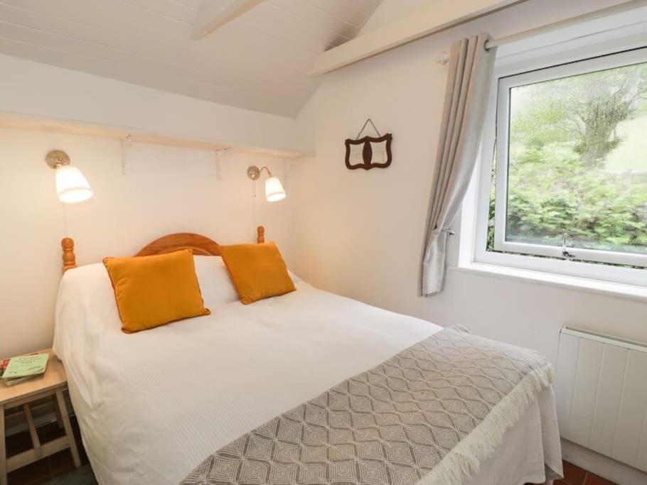 דולגלאו Y Gribyn - Modern Stone Cottage Within Snowdonia'S National Park מראה חיצוני תמונה