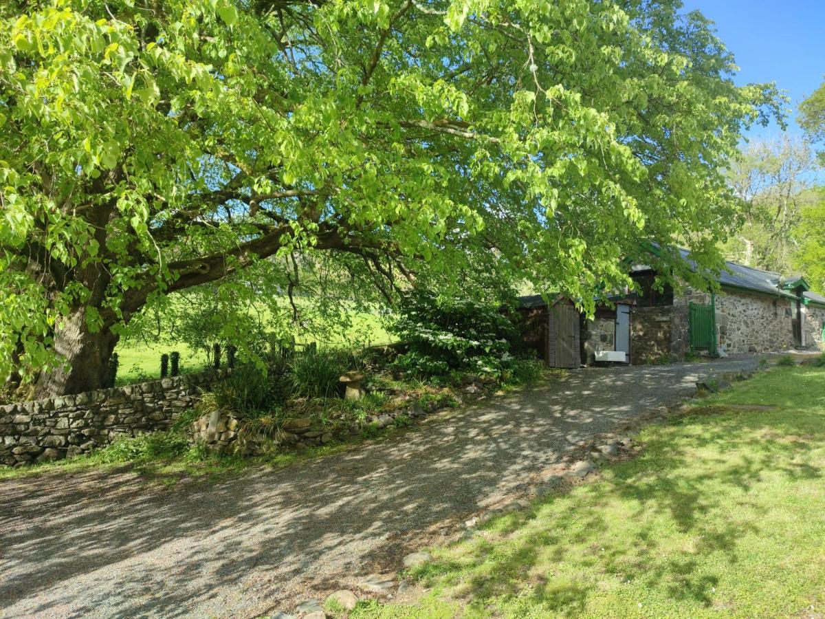 דולגלאו Y Gribyn - Modern Stone Cottage Within Snowdonia'S National Park מראה חיצוני תמונה